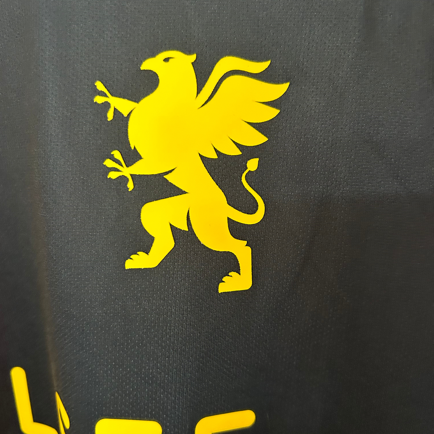 GENOA HOME SHIRT 2025/26