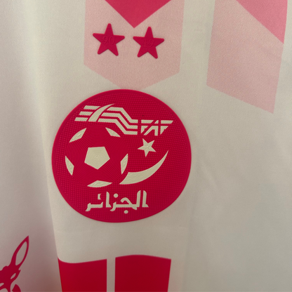 ELVN Algeria Pink Concept Kit with vibrant pink accessories and tools, designed for creative projects and artistic expression.