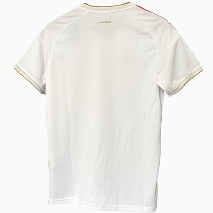 VENEZUELA away soccer kit 2026 by ELVN, featuring the jersey with team logo and matching shorts, displayed on a plain background.